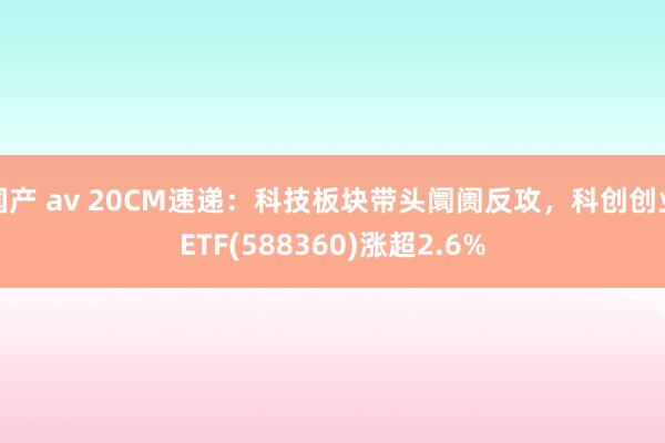 国产 av 20CM速递：科技板块带头阛阓反攻，科创创业ETF(588360)涨超2.6%