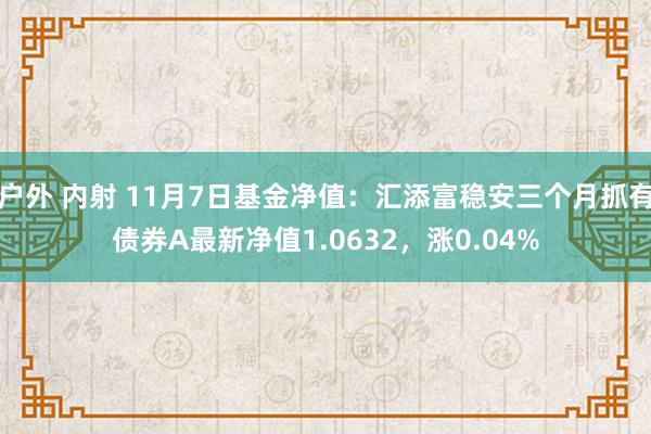 户外 内射 11月7日基金净值：汇添富稳安三个月抓有债券A最新净值1.0632，涨0.04%