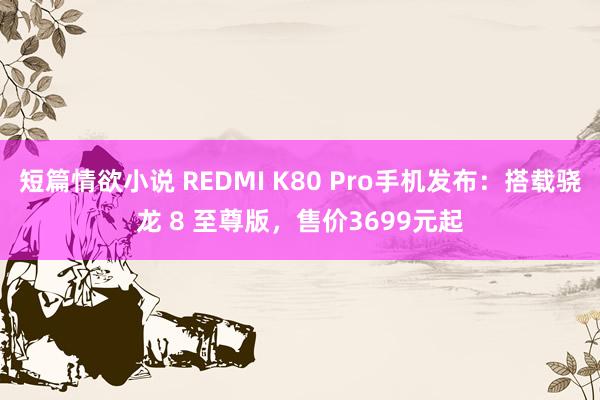 短篇情欲小说 REDMI K80 Pro手机发布：搭载骁龙 8 至尊版，售价3699元起