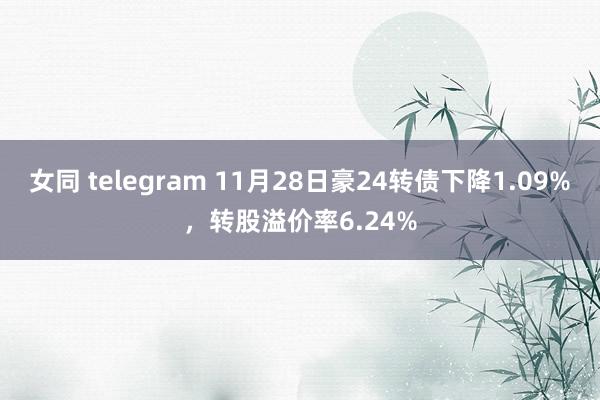 女同 telegram 11月28日豪24转债下降1.09%，转股溢价率6.24%