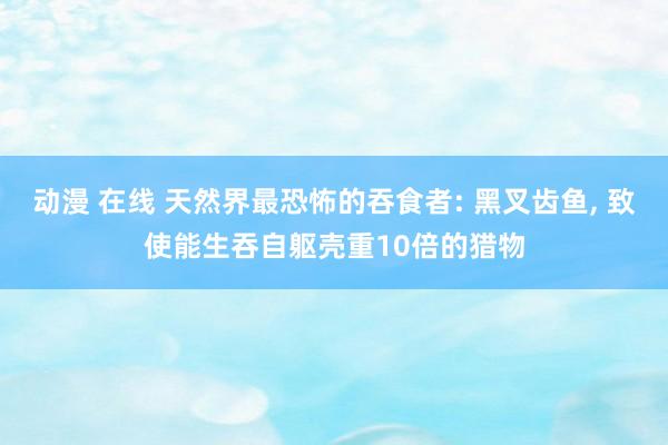动漫 在线 天然界最恐怖的吞食者: 黑叉齿鱼， 致使能生吞自躯壳重10倍的猎物