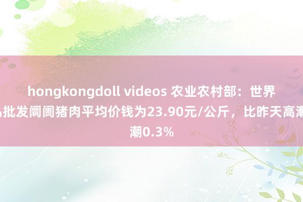 hongkongdoll videos 农业农村部：世界农居品批发阛阓猪肉平均价钱为23.90元/公斤，比昨天高潮0.3%
