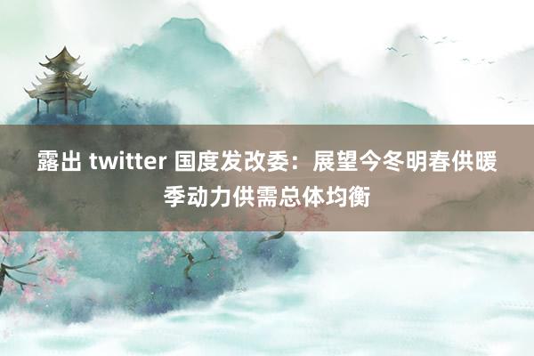 露出 twitter 国度发改委：展望今冬明春供暖季动力供需总体均衡