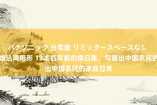 パナソニック 分電盤 リミッタースペースなし 露出・半埋込両用形 13本百年前的排日账，勾画出中国农民的家庭日常