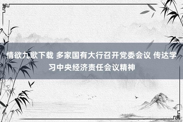 情欲九歌下载 多家国有大行召开党委会议 传达学习中央经济责任会议精神