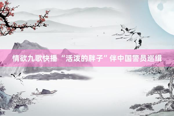 情欲九歌快播 “活泼的胖子”伴中国警员巡缉