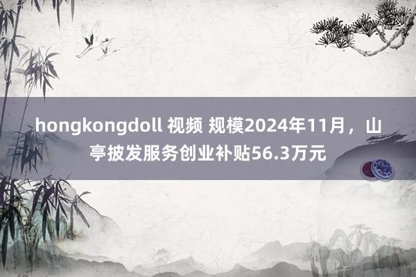 hongkongdoll 视频 规模2024年11月，山亭披发服务创业补贴56.3万元