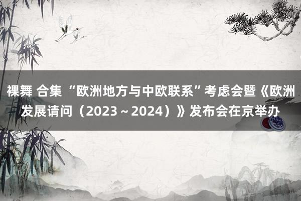 裸舞 合集 “欧洲地方与中欧联系”考虑会暨《欧洲发展请问（2023～2024）》发布会在京举办