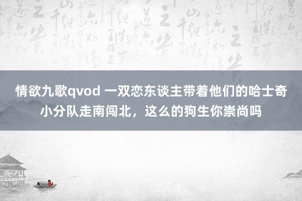 情欲九歌qvod 一双恋东谈主带着他们的哈士奇小分队走南闯北，这么的狗生你崇尚吗