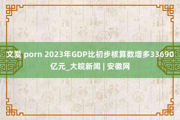 文爱 porn 2023年GDP比初步核算数增多33690亿元_大皖新闻 | 安徽网