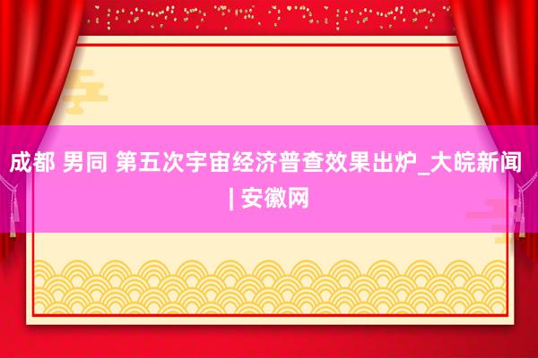 成都 男同 第五次宇宙经济普查效果出炉_大皖新闻 | 安徽网