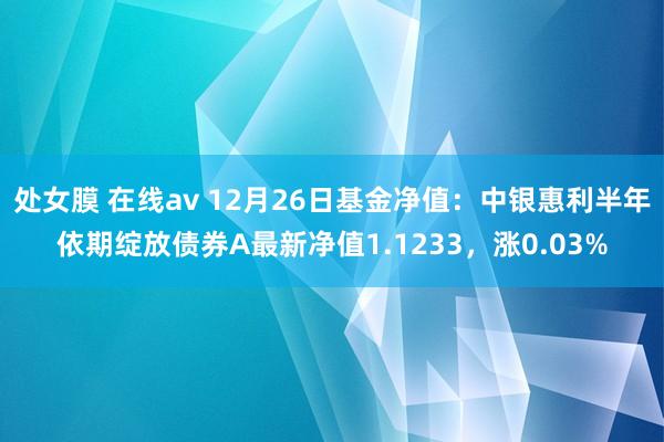 处女膜 在线av 12月26日基金净值：中银惠利半年依期绽放债券A最新净值1.1233，涨0.03%
