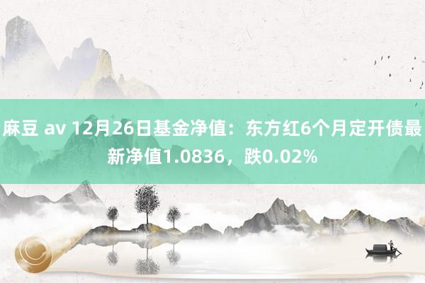 麻豆 av 12月26日基金净值：东方红6个月定开债最新净值1.0836，跌0.02%