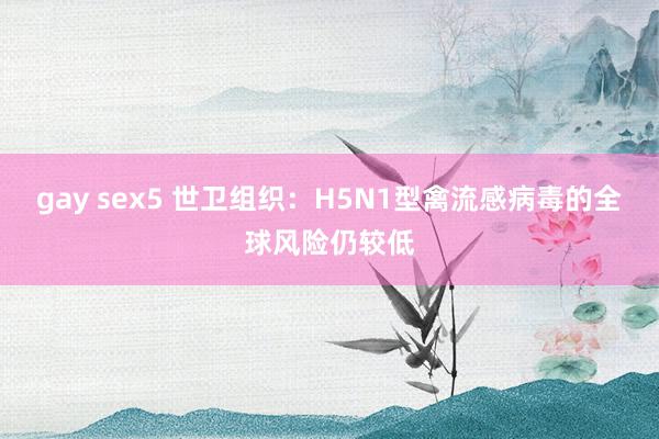 gay sex5 世卫组织：H5N1型禽流感病毒的全球风险仍较低