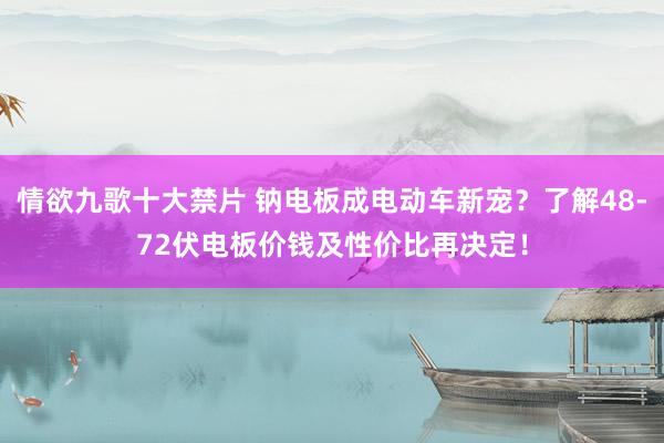 情欲九歌十大禁片 钠电板成电动车新宠？了解48-72伏电板价钱及性价比再决定！