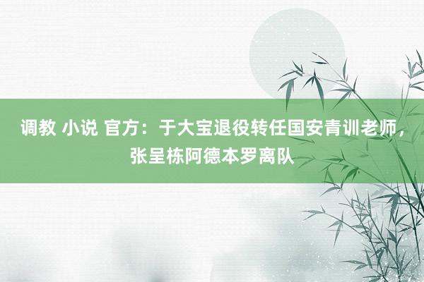 调教 小说 官方：于大宝退役转任国安青训老师，张呈栋阿德本罗离队