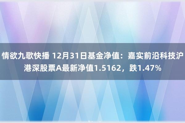 情欲九歌快播 12月31日基金净值：嘉实前沿科技沪港深股票A最新净值1.5162，跌1.47%