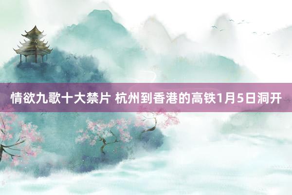 情欲九歌十大禁片 杭州到香港的高铁1月5日洞开