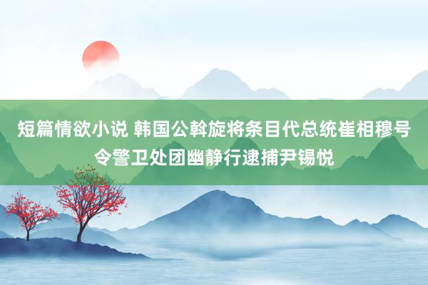短篇情欲小说 韩国公斡旋将条目代总统崔相穆号令警卫处团幽静行逮捕尹锡悦