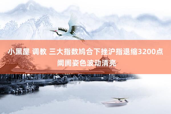 小黑屋 调教 三大指数鸠合下挫沪指退缩3200点 阛阓姿色波动清亮