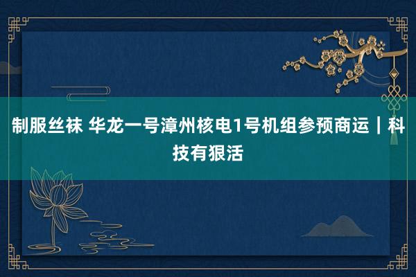 制服丝袜 华龙一号漳州核电1号机组参预商运｜科技有狠活
