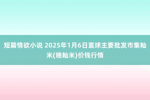 短篇情欲小说 2025年1月6日寰球主要批发市集籼米(晚籼米)价钱行情
