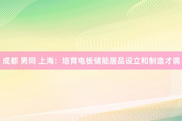 成都 男同 上海：培育电板储能居品设立和制造才调