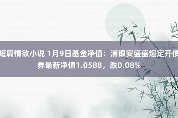 短篇情欲小说 1月9日基金净值：浦银安盛盛煊定开债券最新净值1.0588，跌0.08%