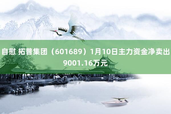 自慰 拓普集团（601689）1月10日主力资金净卖出9001.16万元