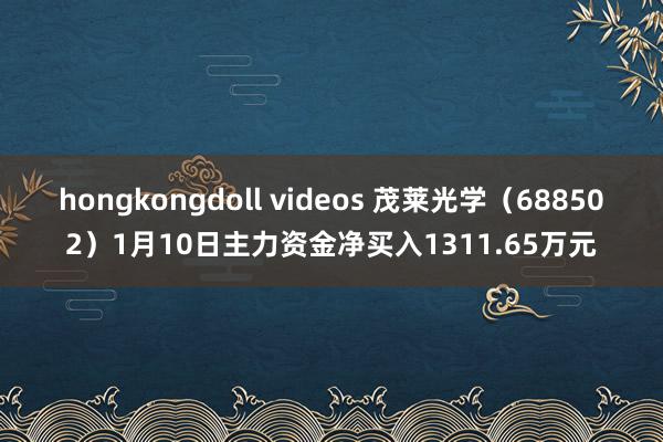 hongkongdoll videos 茂莱光学（688502）1月10日主力资金净买入1311.65万元