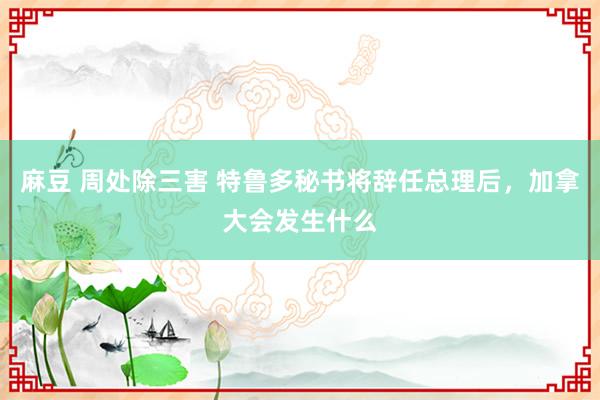 麻豆 周处除三害 特鲁多秘书将辞任总理后，加拿大会发生什么