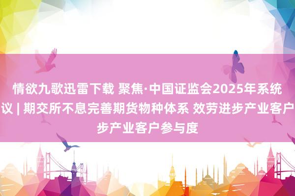 情欲九歌迅雷下载 聚焦·中国证监会2025年系统职责会议 | 期交所不息完善期货物种体系 效劳进步产业客户参与度