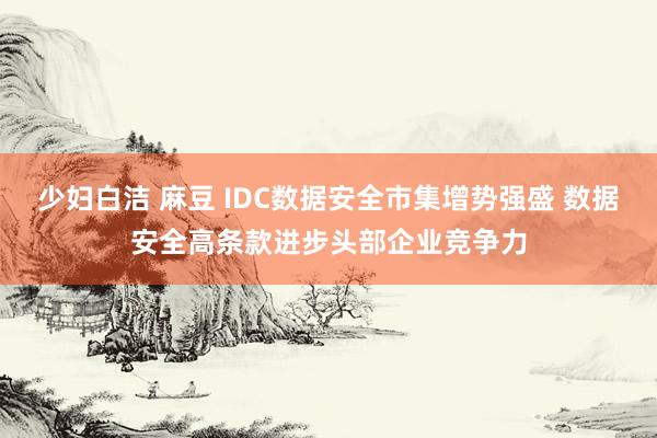 少妇白洁 麻豆 IDC数据安全市集增势强盛 数据安全高条款进步头部企业竞争力