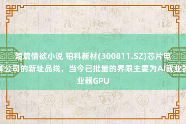 短篇情欲小说 铂科新材(300811.SZ)芯片电感手脚公司的新址品线，当今已批量的界限主要为AI就业器GPU