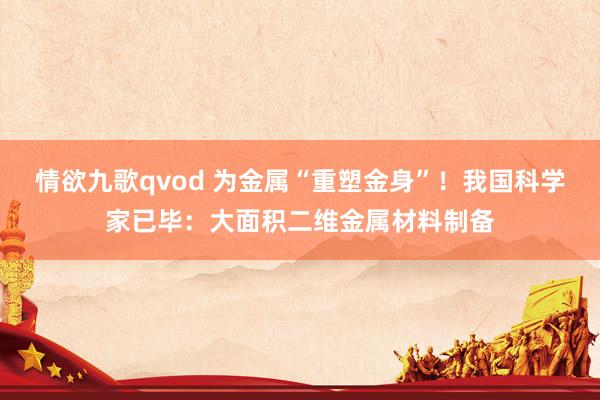 情欲九歌qvod 为金属“重塑金身”！我国科学家已毕：大面积二维金属材料制备