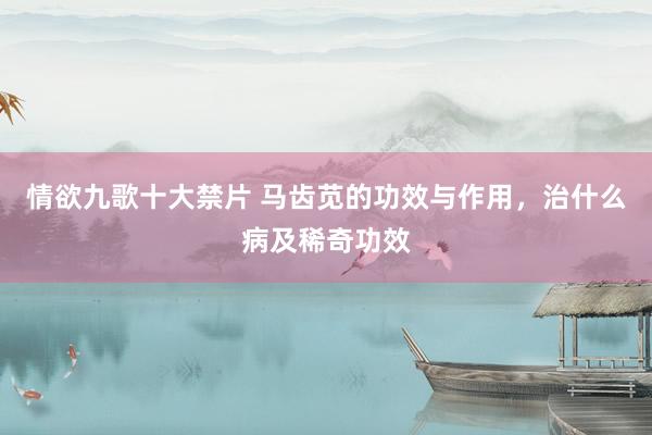 情欲九歌十大禁片 马齿苋的功效与作用，治什么病及稀奇功效
