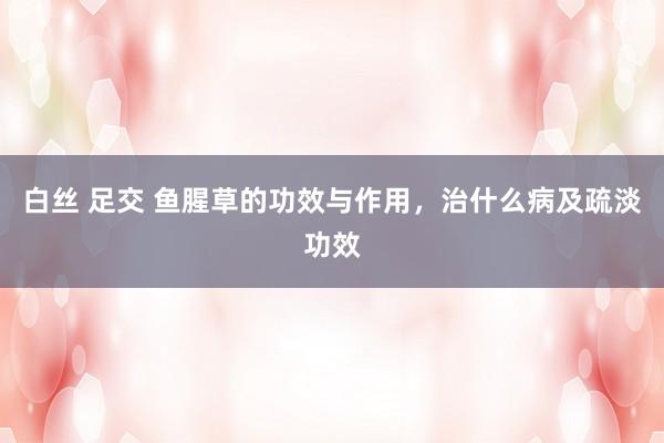 白丝 足交 鱼腥草的功效与作用，治什么病及疏淡功效