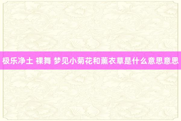 极乐净土 裸舞 梦见小菊花和薰衣草是什么意思意思