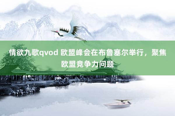 情欲九歌qvod 欧盟峰会在布鲁塞尔举行，聚焦欧盟竞争力问题