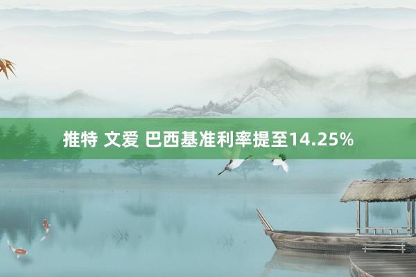 推特 文爱 巴西基准利率提至14.25%