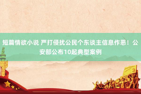 短篇情欲小说 严打侵扰公民个东谈主信息作恶！公安部公布10起典型案例