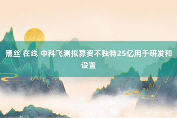 黑丝 在线 中科飞测拟募资不独特25亿用于研发和设置