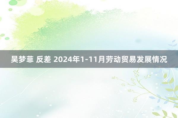 吴梦菲 反差 2024年1-11月劳动贸易发展情况