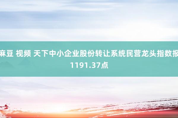 麻豆 视频 天下中小企业股份转让系统民营龙头指数报1191.37点