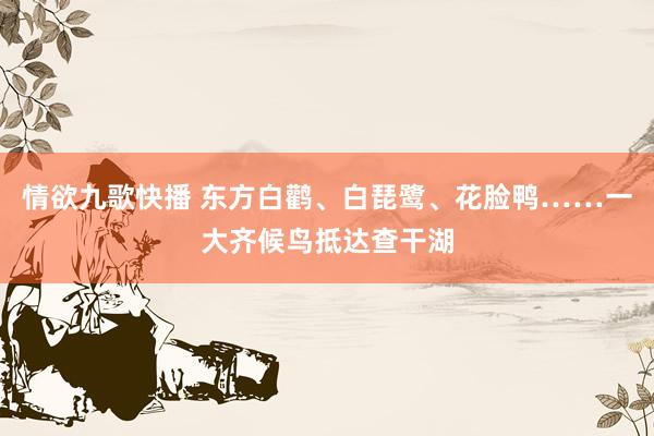 情欲九歌快播 东方白鹳、白琵鹭、花脸鸭……一大齐候鸟抵达查干湖