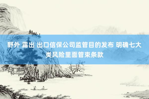 野外 露出 出口信保公司监管目的发布 明确七大类风险里面管束条款