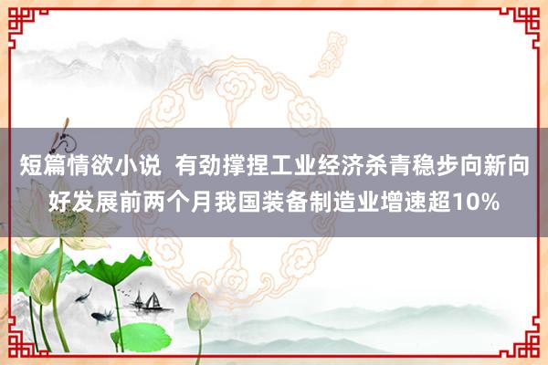 短篇情欲小说  有劲撑捏工业经济杀青稳步向新向好发展前两个月我国装备制造业增速超10%