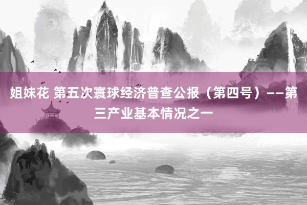 姐妹花 第五次寰球经济普查公报（第四号）——第三产业基本情况之一