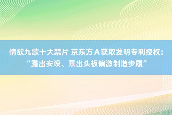 情欲九歌十大禁片 京东方Ａ获取发明专利授权：“露出安设、暴出头板偏激制造步履”