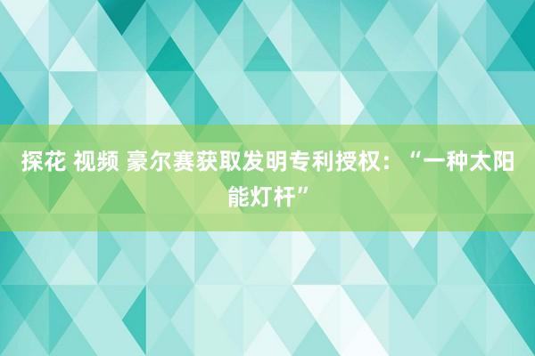 探花 视频 豪尔赛获取发明专利授权：“一种太阳能灯杆”